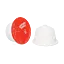 Sylvester\u0027s\u0020Strawberry\u0020