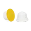 Ingef\u00E6r\u002D\u0020og\u0020citronte
